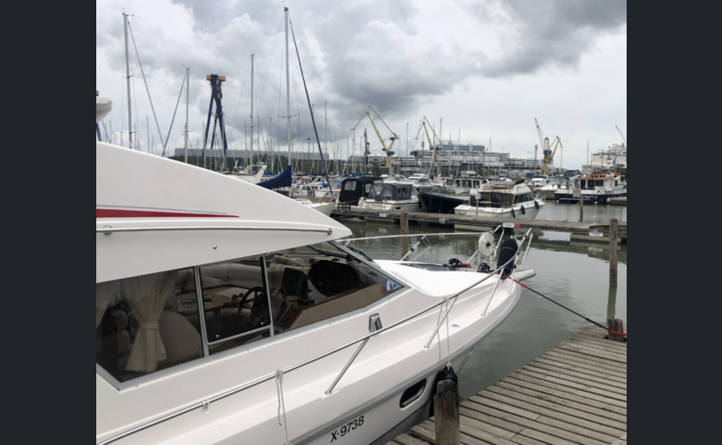 Marino Barracuda Fly 10.5-kuva-10